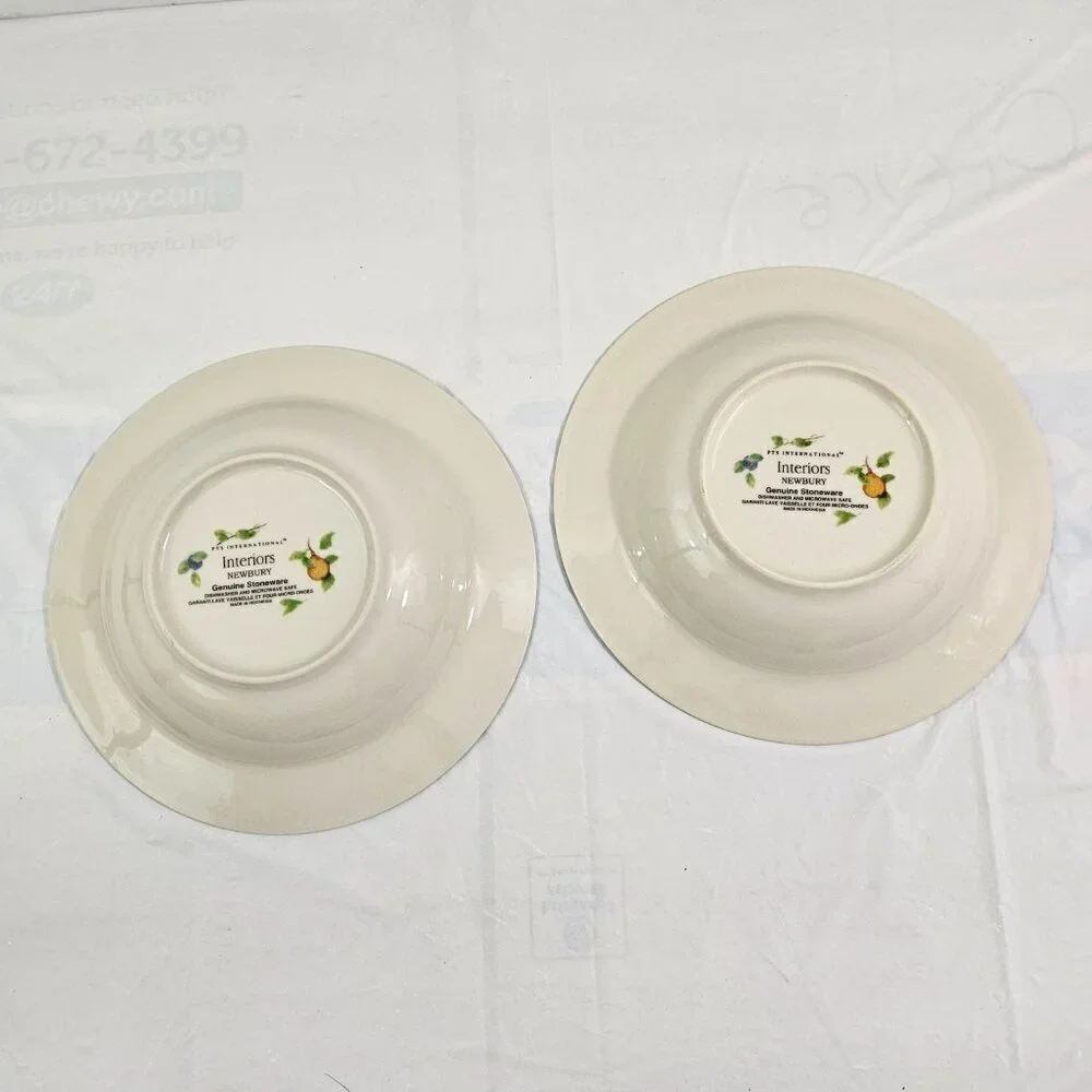 PTS International Interiors Newbury Stoneware Rimmed Soup Salad Bowls – Set of 2